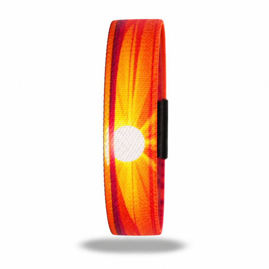 Prove Them Wrong Wristband